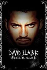 Watch David Blaine: Real or Magic Vidbull