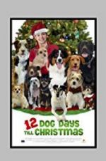 Watch 12 Dog Days Till Christmas Vidbull