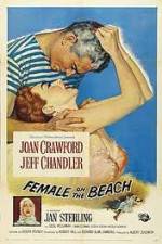 Watch Female on the Beach Vidbull