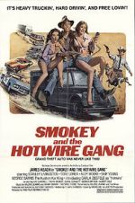 Watch Smokey and the Hotwire Gang Vidbull