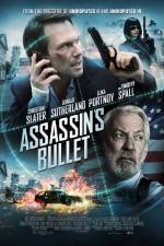 Watch Assassin's Bullet Vidbull