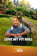 Watch Cesar Millan: Love My Pit Bull Vidbull
