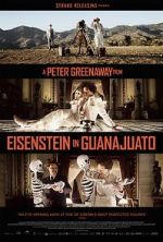 Watch Eisenstein in Guanajuato Vidbull