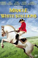 Watch Miracle of the White Stallions Vidbull