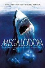 Watch Megalodon Vidbull