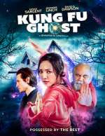 Watch Kung Fu Ghost Vidbull