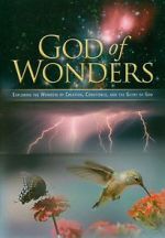 Watch God of Wonders Vidbull