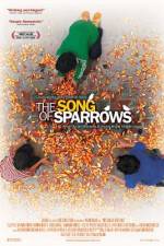 Watch The Song of Sparrows Vidbull
