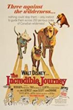Watch The Incredible Journey Vidbull