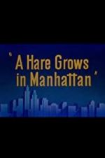 Watch A Hare Grows in Manhattan Vidbull