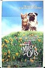 Watch Milo & Otis Vidbull