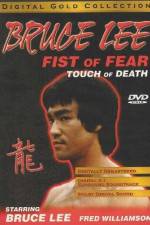 Watch Fist of Fear Touch of Death Vidbull