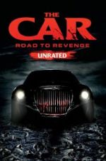Watch The Car: Road to Revenge Vidbull