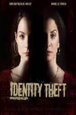 Watch Identity Theft The Michelle Brown Story Vidbull