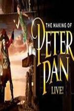 Watch The Making of Peter Pan Live Vidbull