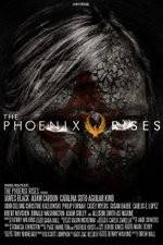 Watch The Phoenix Rises Vidbull