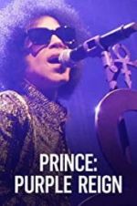 Watch Prince: A Purple Reign Vidbull