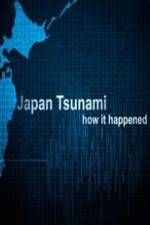 Watch Japan Tsunami: How It Happened Vidbull