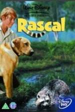 Watch Rascal Vidbull