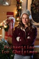 Watch Poinsettias for Christmas Vidbull
