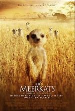 Watch Meerkats: The Movie Vidbull