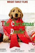 Watch The Christmas Doodle Vidbull