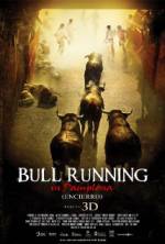 Watch Encierro 3D: Bull Running in Pamplona Vidbull