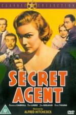 Watch Secret Agent Vidbull