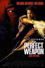 Watch The Perfect Weapon Vidbull