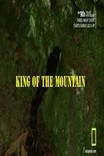 Watch King of the Mountain Vidbull