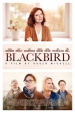 Watch Blackbird Vidbull