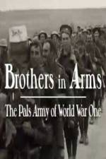 Watch Brothers in Arms: The Pals Army of World War One Vidbull