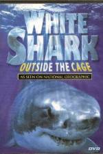 Watch National Geographic white shark:outside the cage Vidbull
