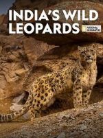 Watch India\'s Wild Leopards (Short 2020) Vidbull