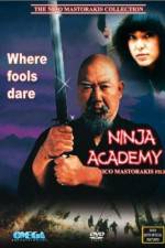 Watch Ninja Academy Vidbull