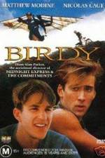 Watch Birdy Vidbull