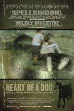 Watch Heart of a Dog Vidbull