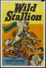 Watch Wild Stallion Vidbull