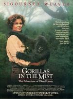 Watch Gorillas in the Mist Vidbull