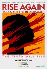 Watch Rise Again: Tulsa and the Red Summer Vidbull