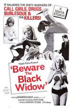Watch Beware the Black Widow Vidbull