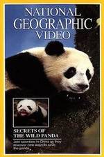 Watch Secrets of the Wild Panda Vidbull