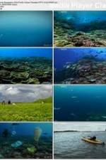 Watch National Geographic: Pacific Ocean Paradise Vidbull