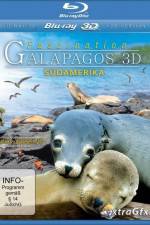 Watch Faszination Galapagos Vidbull