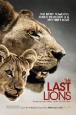 Watch The Last Lions Vidbull