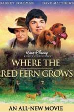 Watch Where the Red Fern Grows Vidbull