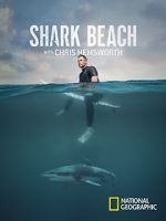 Watch Shark Beach with Chris Hemsworth (TV Special 2021) Vidbull