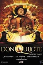 Watch Don Quixote Vidbull