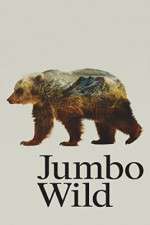 Watch Jumbo Wild Vidbull