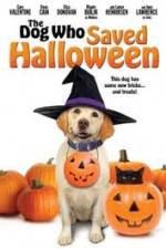 Watch The Dog Who Saved Halloween Vidbull